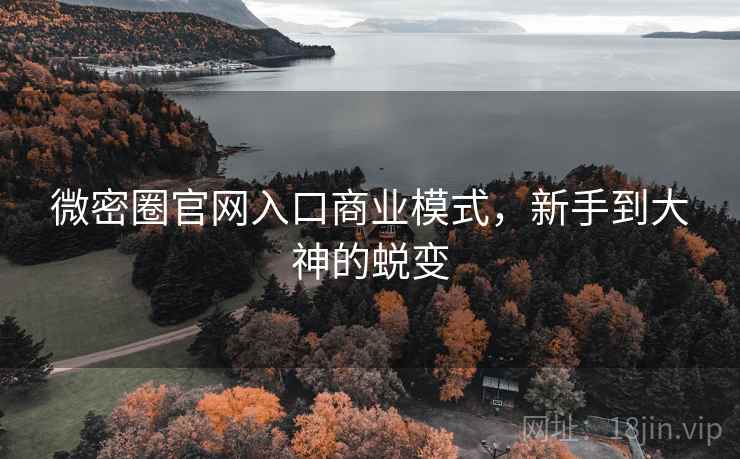 微密圈官网入口商业模式,新手到大神的蜕变